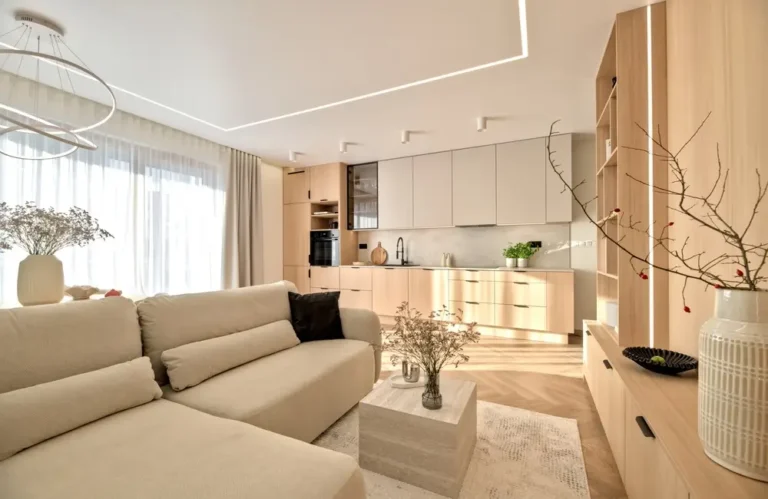 mobilier salon maison